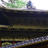日光