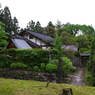 日光