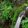 日光