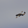 B-25D Demo flight