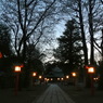 行灯の灯る夜の鷲宮神社
