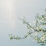 photo_1929255