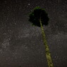 夏の星空