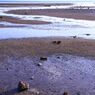 石垣の海岸1