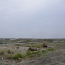 2012.05.18　宮城3