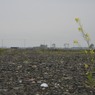 2012.05.18　宮城13
