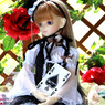 SD少女F22番
