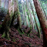 十枚山