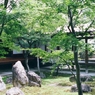 建仁寺のお庭