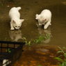 雨が上がって