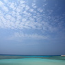 南国の島へ