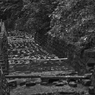 SDIM0739