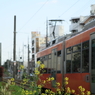 7F1Y9397