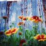 natural wall art