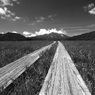 P6301685