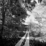 P6301704
