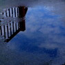 雨上がりの・・・