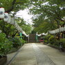 小動神社境内