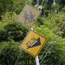useing@
