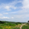農園からの風景