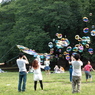 公園の日曜日－２