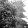 雨の中の東寺