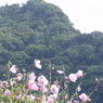 2012 7 12 141