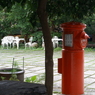 useing@