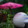ＡＮＡ様 雨が.......