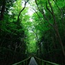 奥