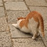 伸