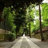 路