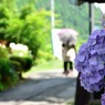 郷