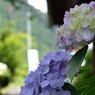 郷Ⅲ