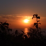 夕日