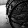 車輪