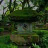 大井神社９