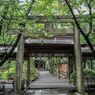 大井神社１３