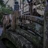 大井神社１４