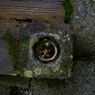 大井神社１６