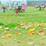 ピンクの遊具と桜紅葉