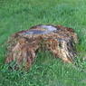 useing@