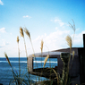 廃墟屋上からUFO屋敷と海　-LOMO LC-A-