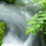 20120714-IMGP2499