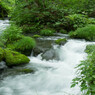 20120714-IMGP2525