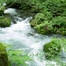20120714-IMGP2542