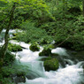 20120714-IMGP2544