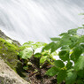 20120714-IMGP2638