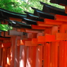 千本鳥居
