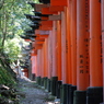 千本鳥居